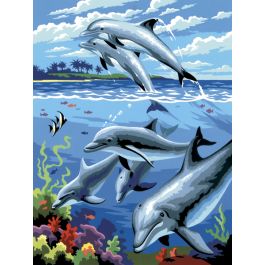 dolphin  mini painting kit – Campbells2